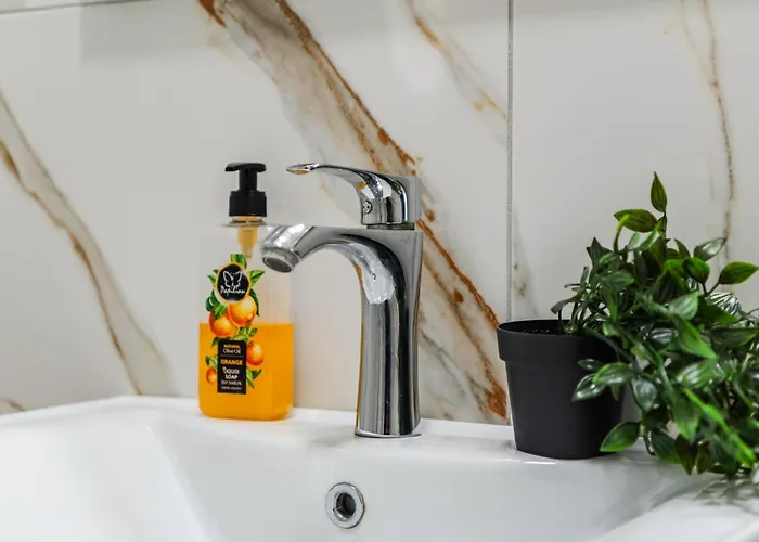 Cozy Center 500mbs *