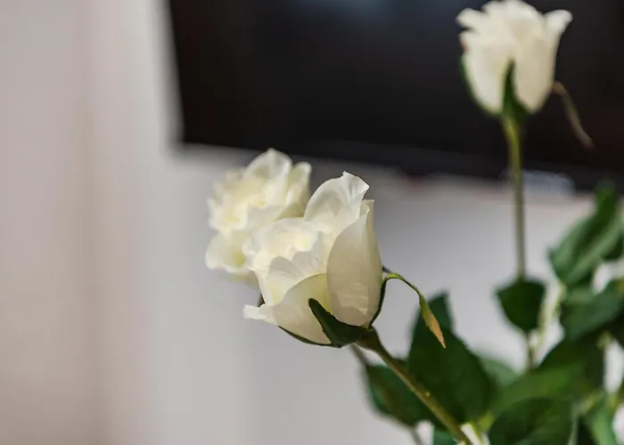 Cozy Center 500mbs Appartement Durrës